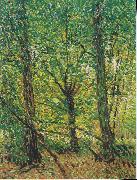 Vincent Van Gogh Trees and Undergrowth oil painting reproduction